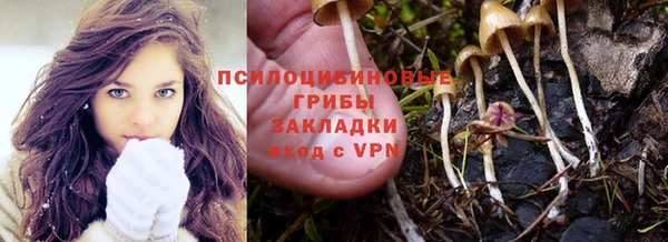 спайс Баксан