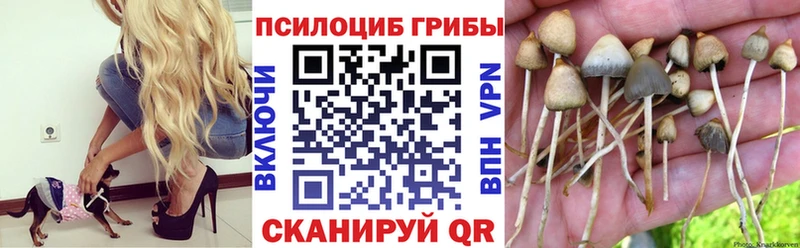 Галлюциногенные грибы Psilocybine cubensis  где продают наркотики  Озёры 